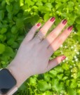 FOREST thumbnail